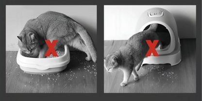Tapis de litière pour chats